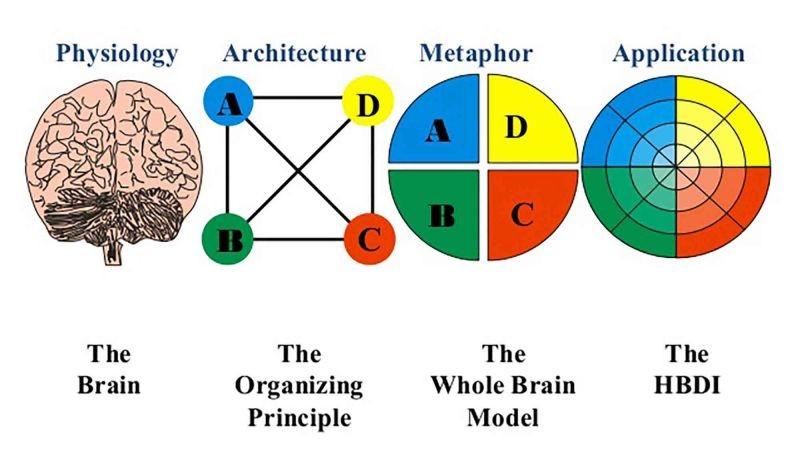 مدل چهار ربعي فراگير مغزی