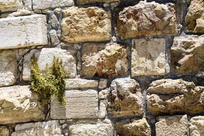 دیدگاه مدیر به کارکنان