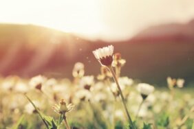 دلایل قدردانی نکردن