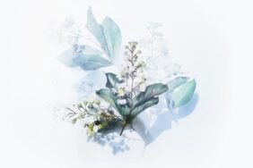 گذار از کانون‌ ارزیابی به کانون‌ توسعه‌