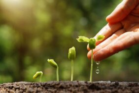 مدل GROW در کوچینگ