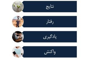 الگوی پاتریک اثربخشی