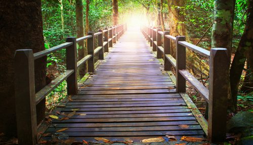 دوره آموزشی طراحی و برنامه‌ریزی مسیر بالندگی فردی